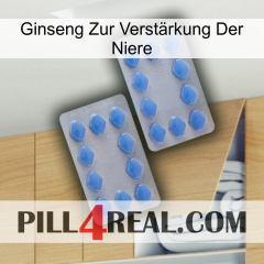 Ginseng Zur Verstärkung Der Niere 20